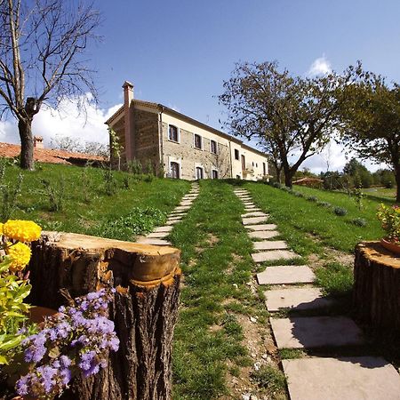 La Rosa Nel Bicchiere Guest House Soveria Mannelli Exterior photo