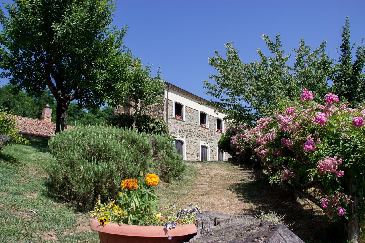 La Rosa Nel Bicchiere Guest House Soveria Mannelli Exterior photo